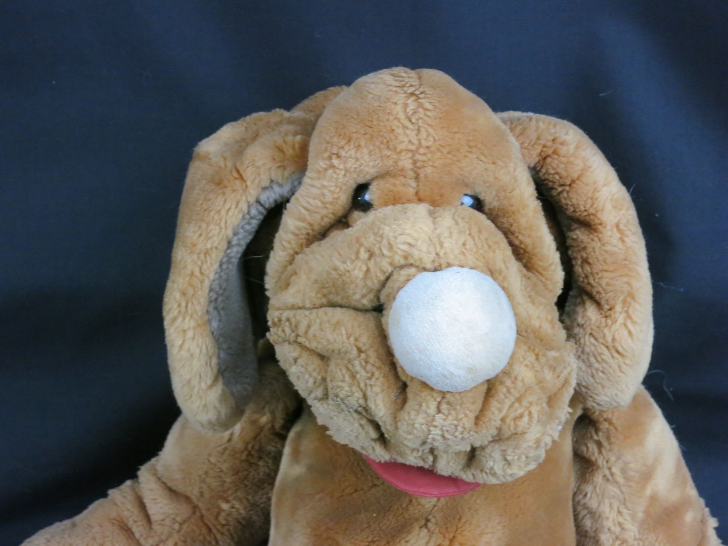 wrinkles stuffed dog for sale